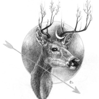 The Deer - Print